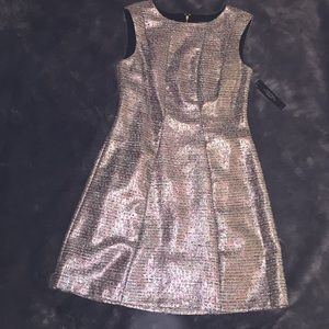Shiny dress